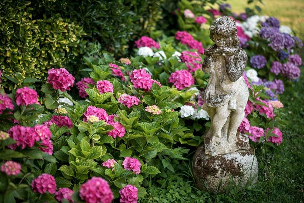 Villa Margherita Мира Екстериор снимка